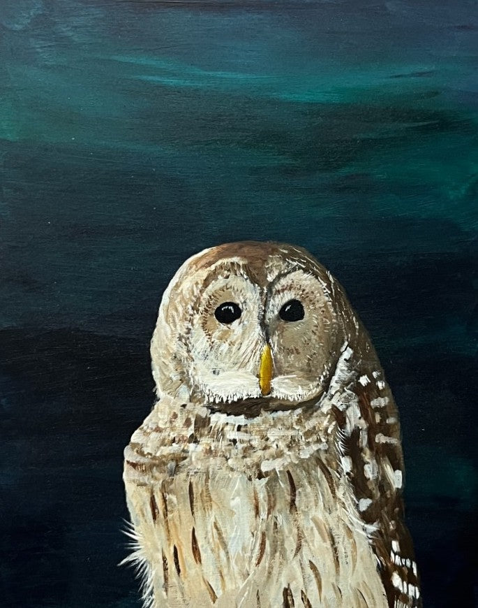 Night Owl