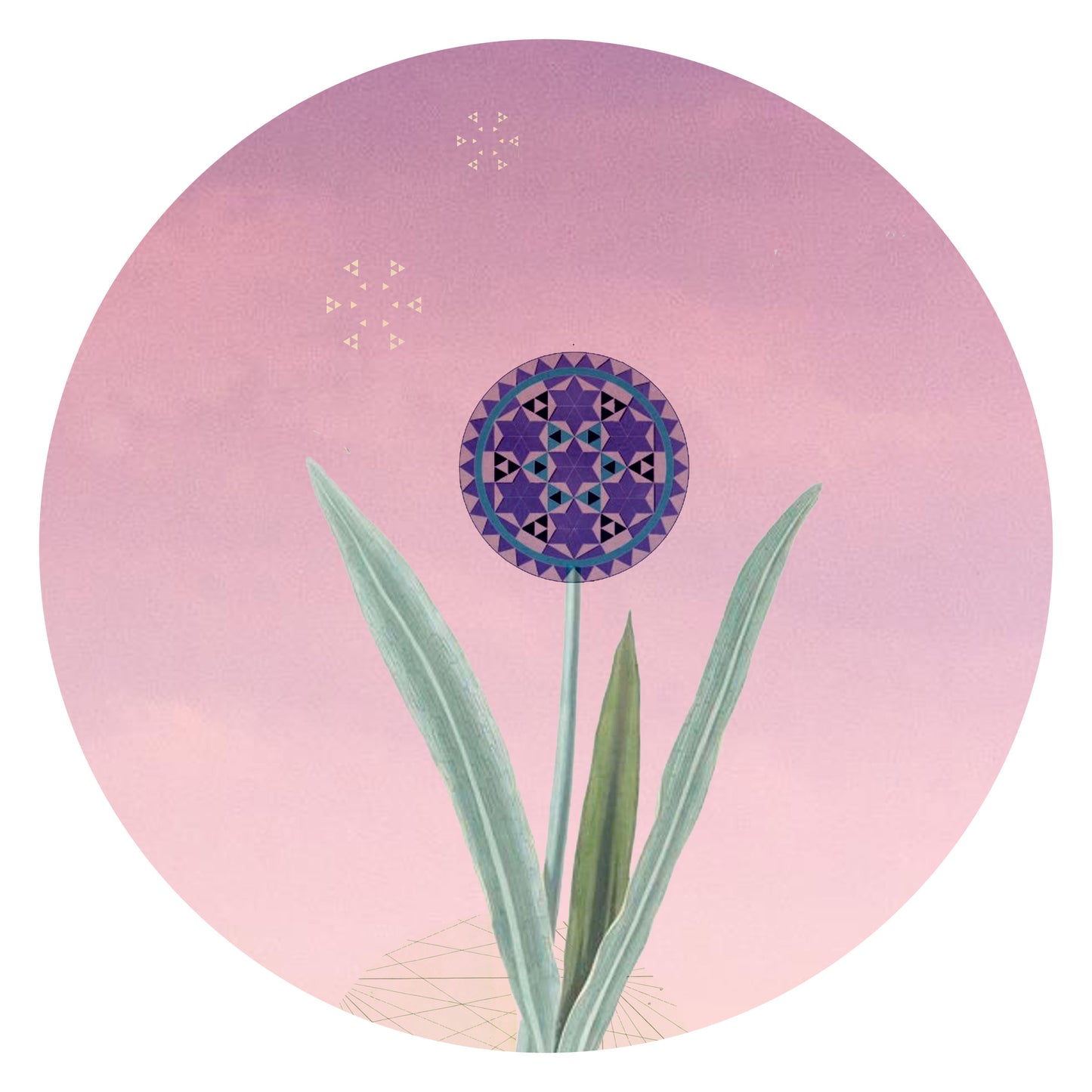 Allium - Vinyl Sticker