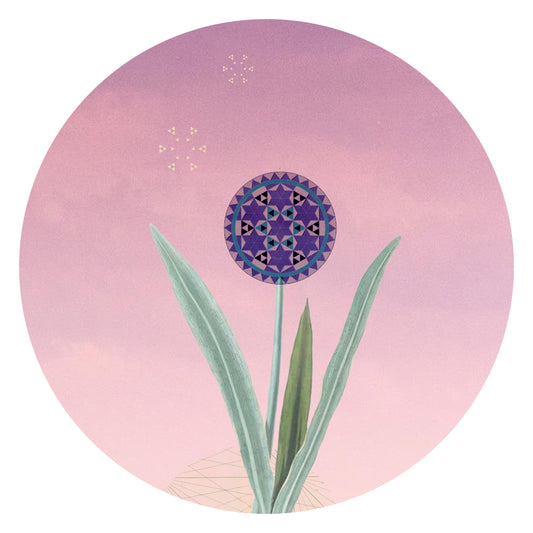 Allium - Vinyl Sticker