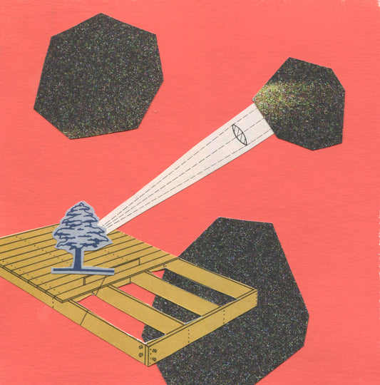 Evergreen